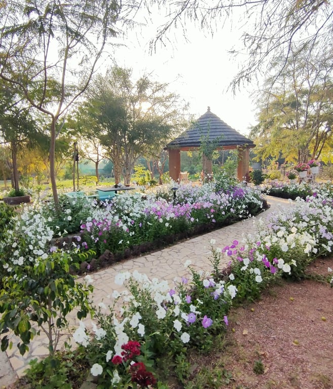 Luxury Pool Villa resort in Udaipur