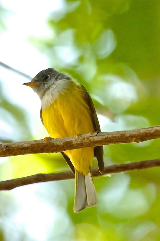 Resort Near Bahubali Hill Udaipur