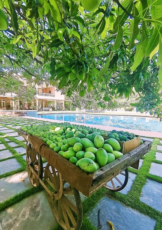 Luxury Pool Villa Resort In Udaipur