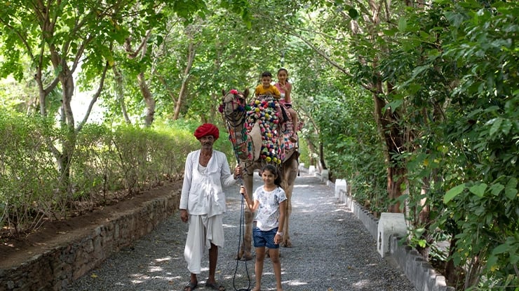 Lalbagh Ranakpur Blogs: Horse Safari At Ranakpur