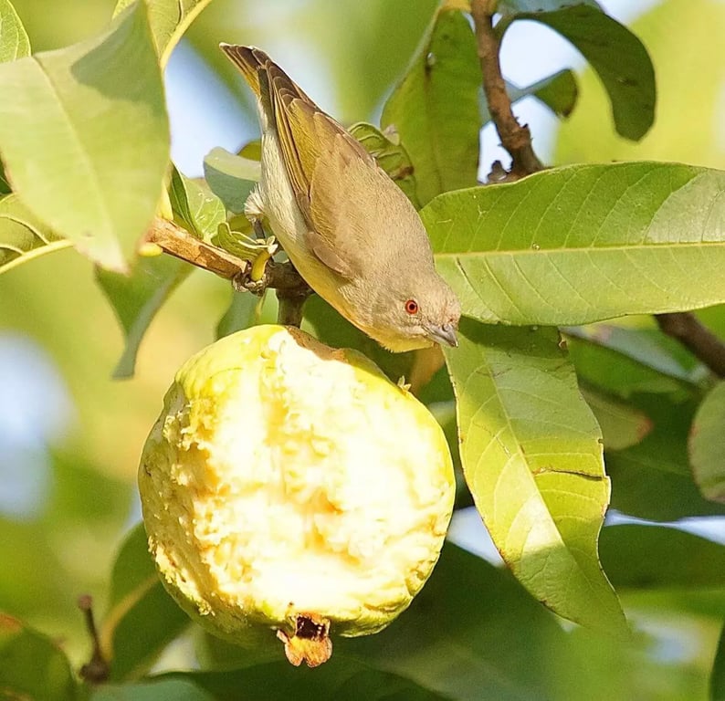 luxury villas in Udaipur