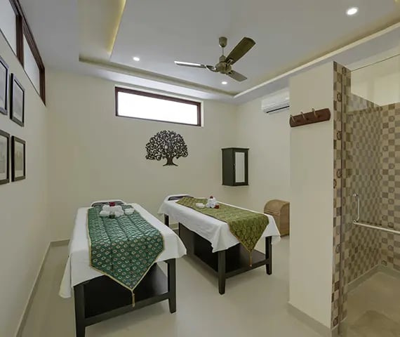 wellness resort in udaipur