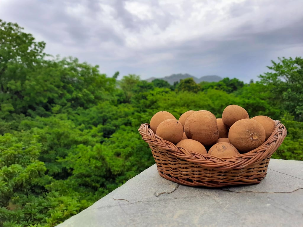 Vatsalya Vihar- A Luxury Pool Villa Resort In Udaipur Rajasthan