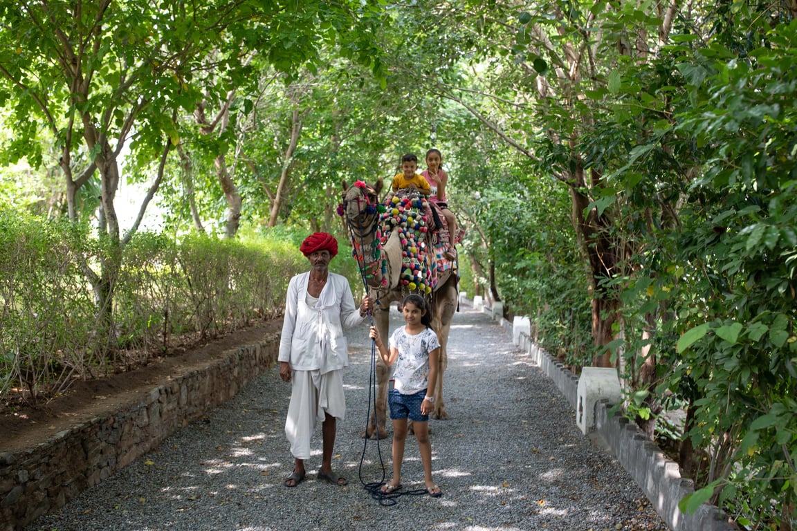 Lal Bagh Animal Ride