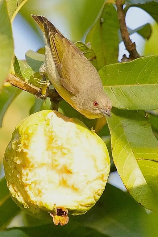 vatsalya bahubali hills udaipur