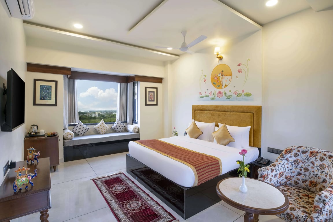 Mountain View Room Udaipur