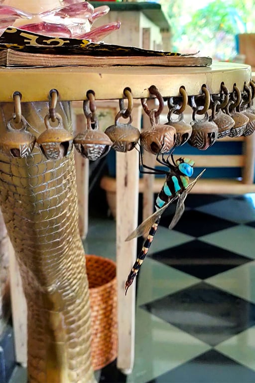 5 star resort in Udaipur Rajasthan