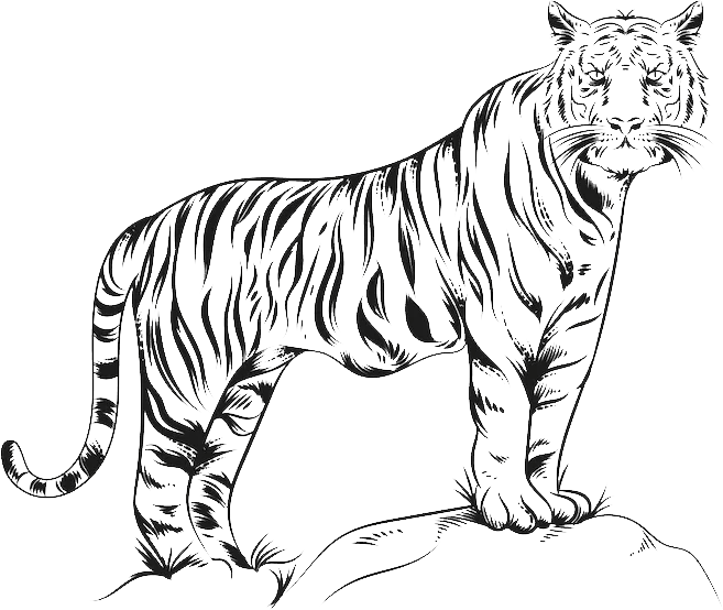 The Lalbagh Hotel Rajasthan