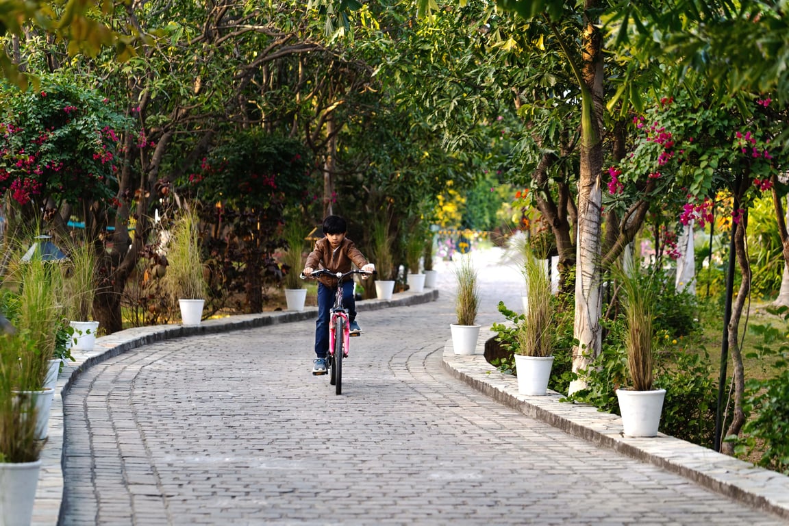 Family Vacation resort in Udaipur