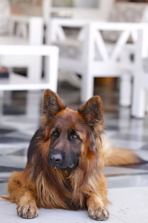 vatsalya vihar villas