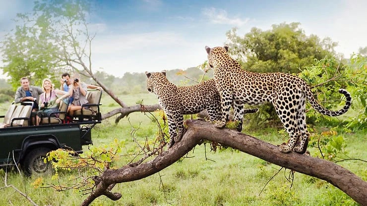 Lalbagh Blogs: Wildlife Safari At Ranakpur