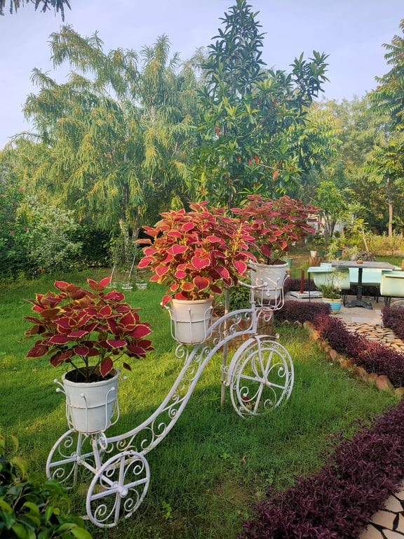 Family Get Together Venue In Udaipur Rajasthan