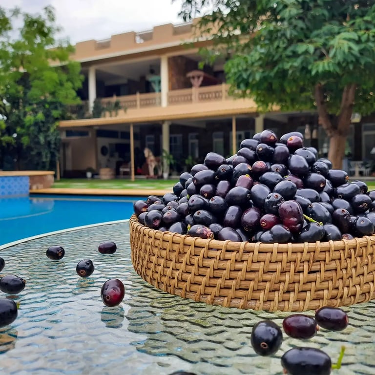 Vatsalya Vihar- A luxury pool villa resort in Udaipur