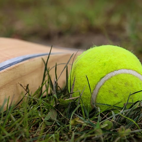 Sarasiruham Playing area