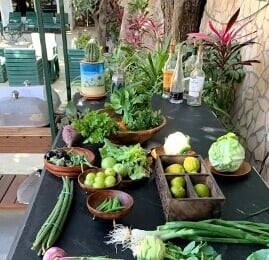 Vatsalya Vihar- Luxury Retreat In Udaipur Rajasthan