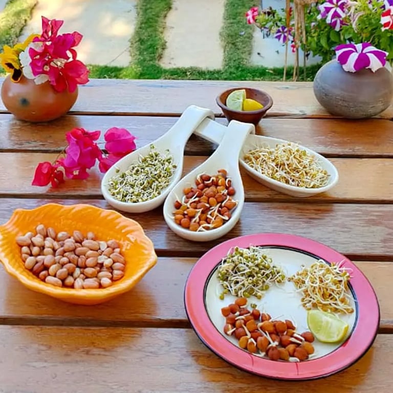 Vatsalya Vihar- Luxury Suiets In Udaipur Rajasthan