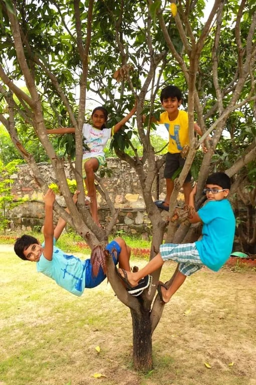 5 star luxury retreat in Udaipur