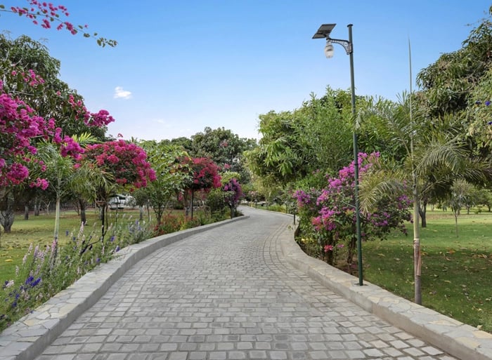 best resorts in Udaipur