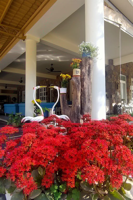 private pool resort in udaipur