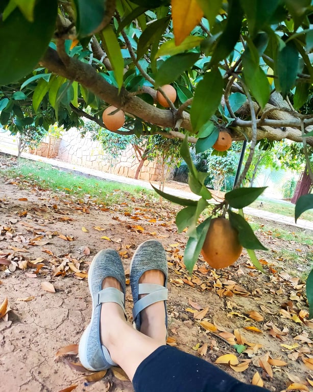 family holiday resorts in udaipur Rajasthan