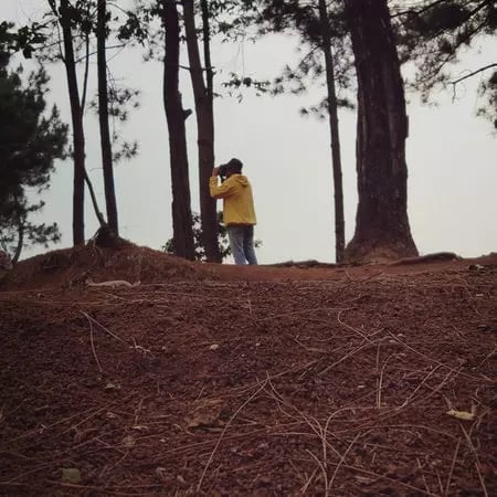 Bird Watching- A joyful endeavour in Kufri