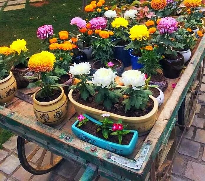 Nature Resort In Udaipur