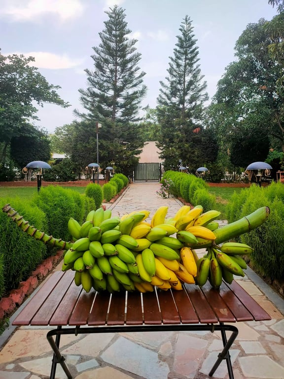 top villas in Udaipur