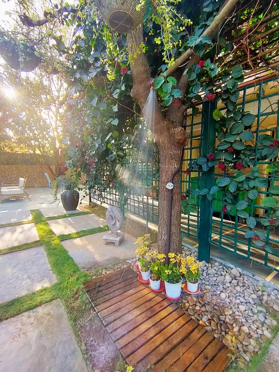 best suites in Udaipur