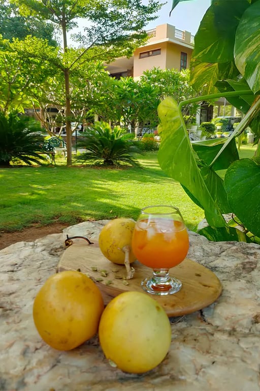 Delightful food at Vatsalya Vihar Udaipur Rajasthan