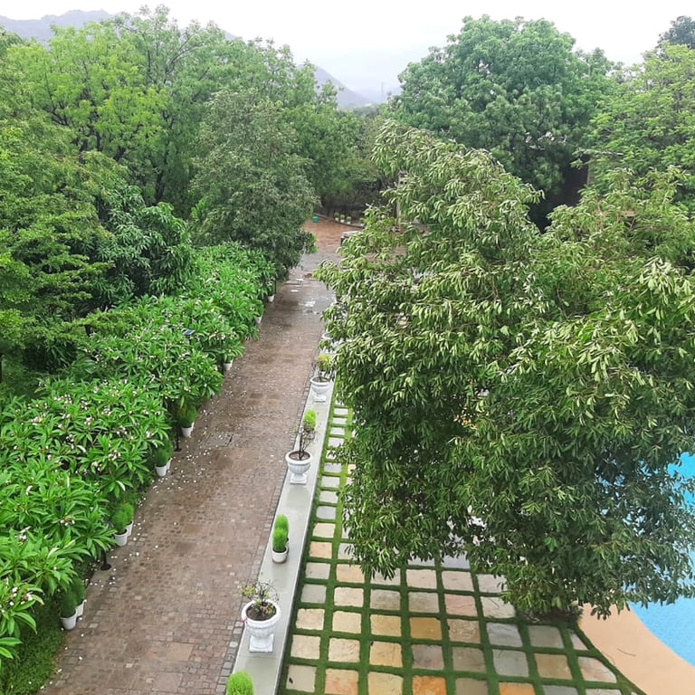 luxury suites in Udaipur