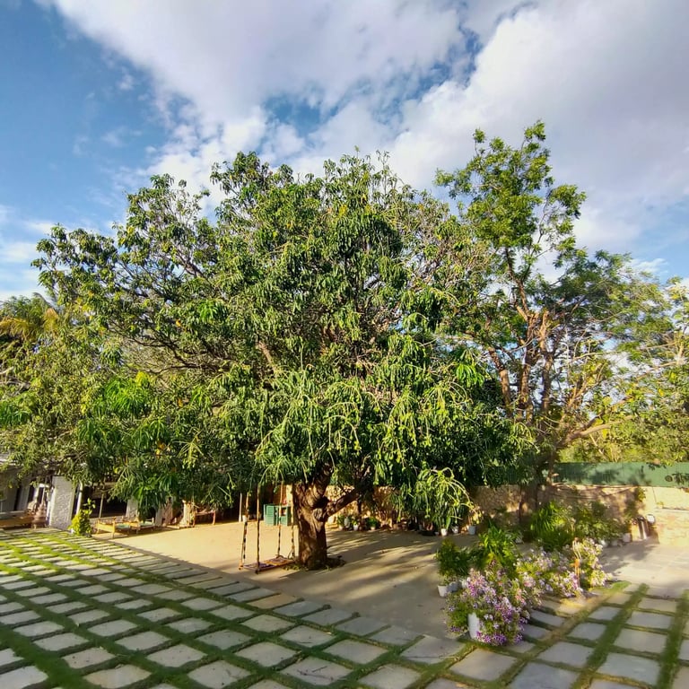 private pool villa in udaipur