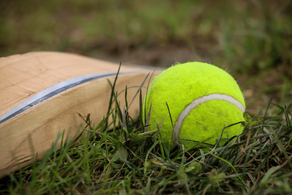 Kid's Play Area in kumbhalgarh