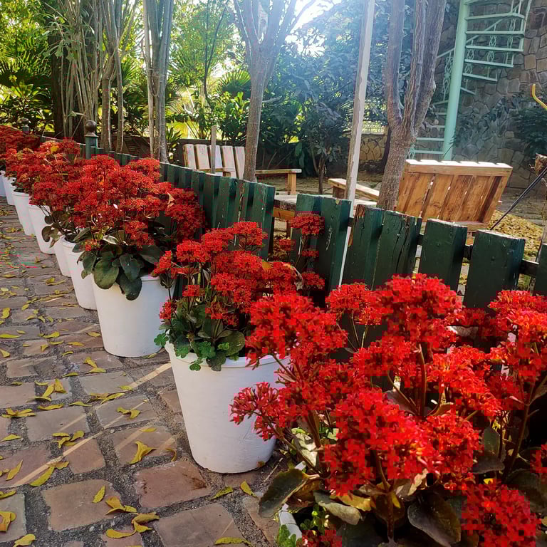 best resorts in Udaipur