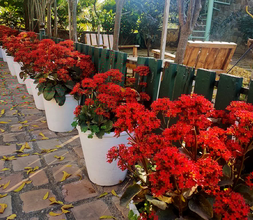 Best Luxury Resort In Udaipur