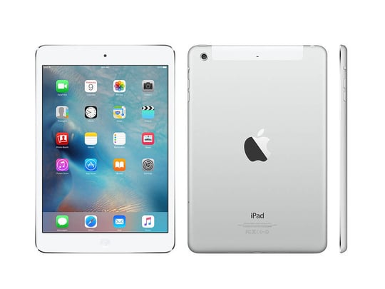 Apple iPad Mini 2 (2013) Silver 16GB - 1900080 #1