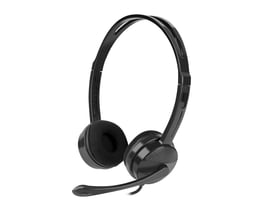 Natec headphones with microphone CANARY, black
