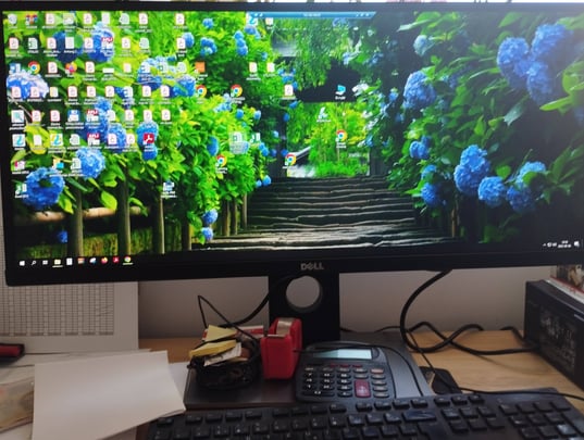 Dell UltraSharp U2917W értékelés Péter #1