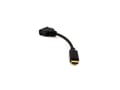 PureLink DisplayPort to DVI-D 0.10m (Model:PI170) - 1720039 thumb #3