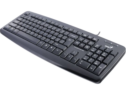 Genius KB-110X, USB, CZ+SK - 1380005 #1