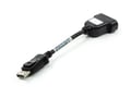 VARIOUS DVI to DisplayPort - 1720022 thumb #1