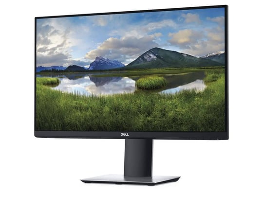 Dell Professional P2419H - 1441748 #1