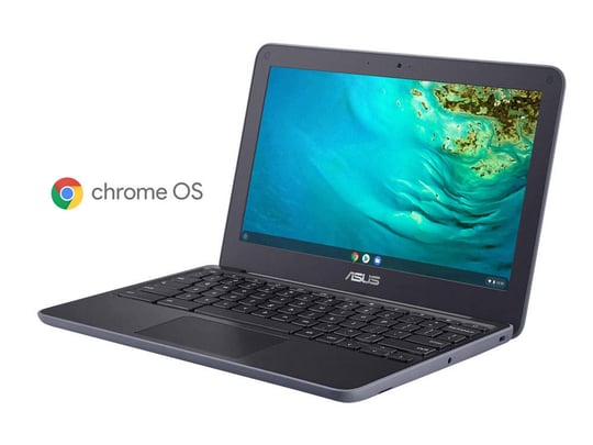 ASUS ChromeBook C202SA - 1527803 #1