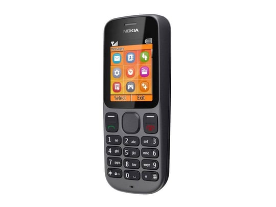 Nokia 100 Phantom Black Phone - 2200005 | furbify