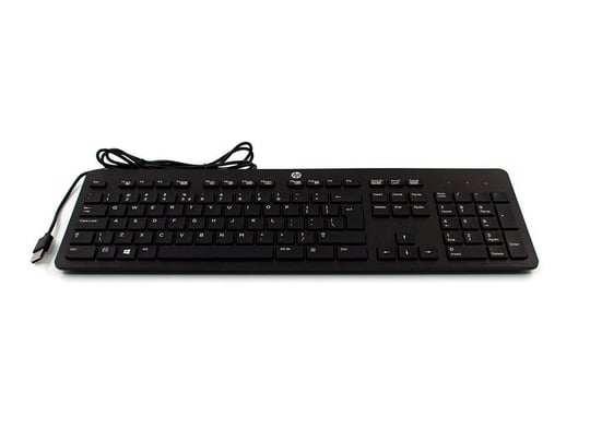 HP EU SK-2120 - 1380201 #1