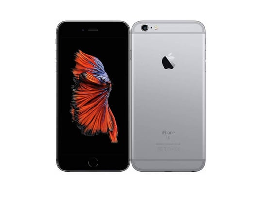 Apple iPhone 6 Plus Space Grey 64GB - 1410073 (refurbished) #1