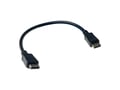 StarTech.com DP to DP , Male to Male - 1070059 thumb #1