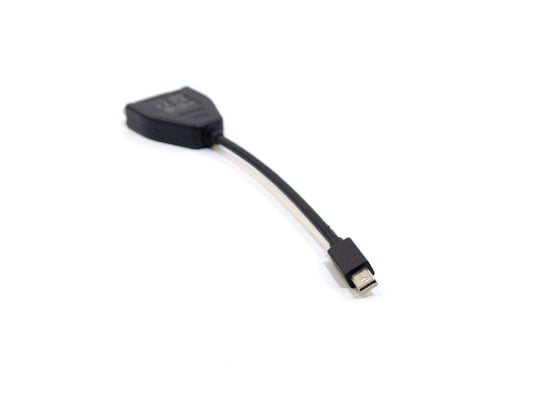 Lenovo Mini DP to DVI M/M - 1720044 #2