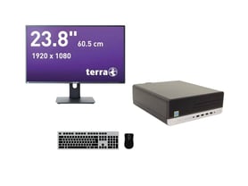 HP ProDesk 600 G4 SFF + Monitor TERRA 2456W PV 23,8"