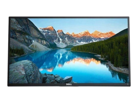 Dell Professional P2417H (Without Stand) - 1442186 #1