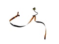 Lenovo for ThinkPad Yoga 370, Camera, ALS Board, Logo Cable  (PN: 01HY228, DC02002M500) - 2610107 thumb #3